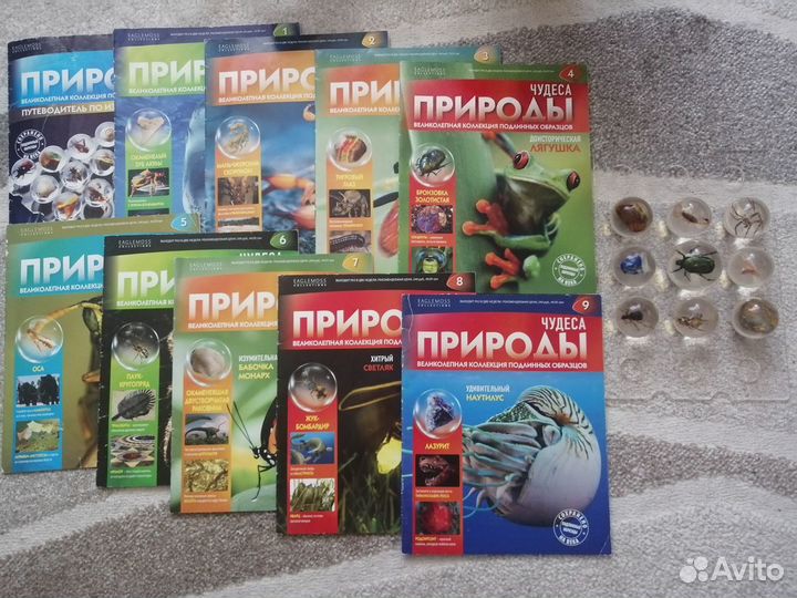 Коллекция чудеса природы