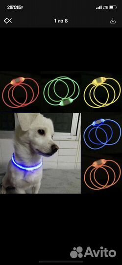 Ошейник светящийся
