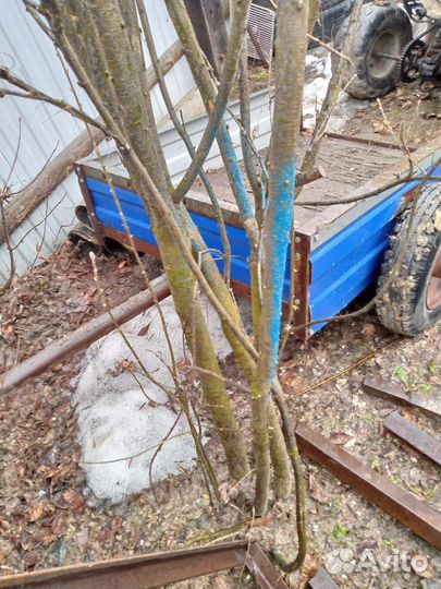 Прицеп самодельный