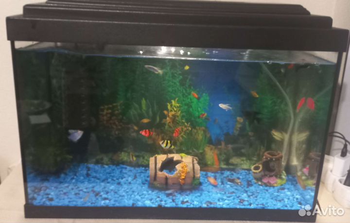 Aквариум