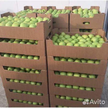 Яблоки оптом и в розницу