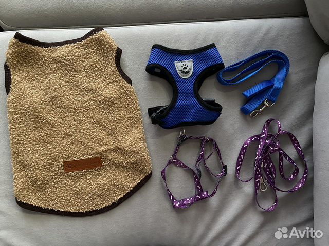 Одежда для собак