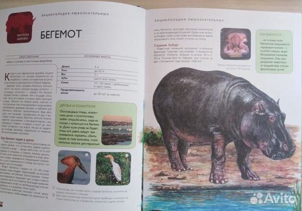 Новые энциклопедии Животные, Экзотич.Птицы