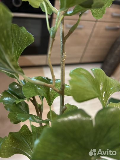 Искусстренное растение