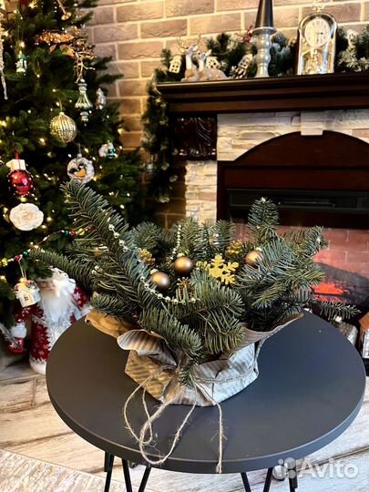 Композиции из нобилиса