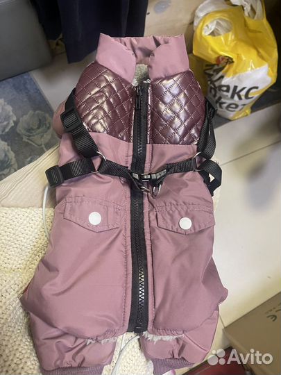 Комбинезон для маленькой собаки