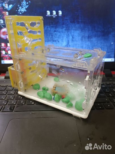 Муравьиная ферма без муравьев с декором и кормом