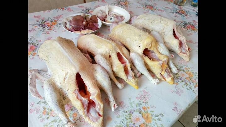 Молоко домашнее, яйца, сало и мясо.птица.и другое