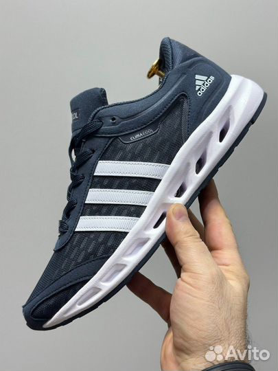 Кроссовки Adidas Climacool