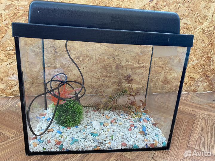 Аквариум для рыбок бу