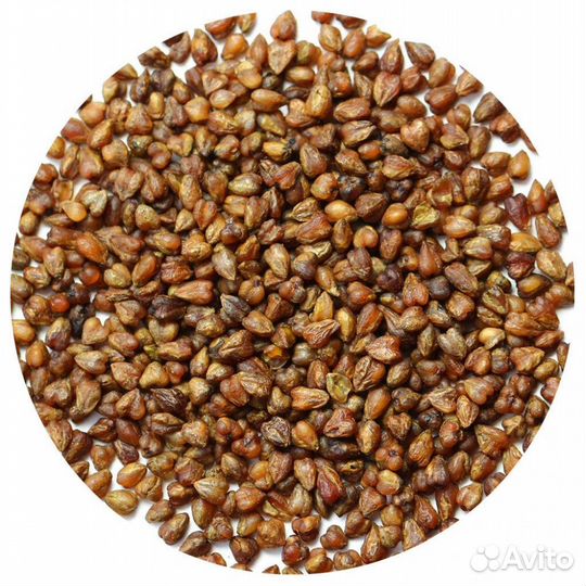 Ку Цяо оптом