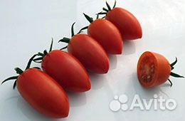 Семена Томата 