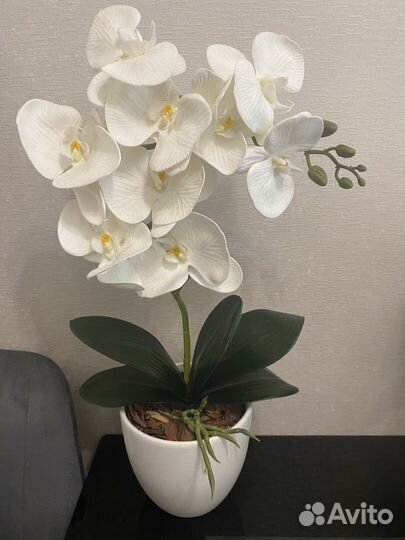 Орхидея фаленопсис искусственная