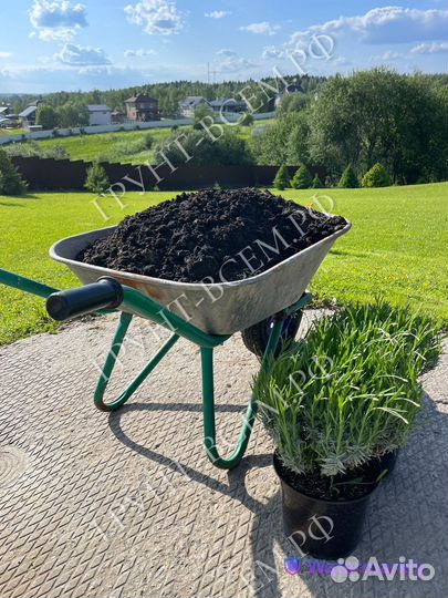 Почвогрунт, грунт для газона