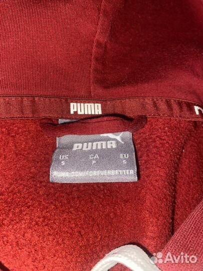 Зипка puma