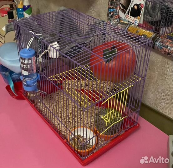 Клетка для хомяка и домик