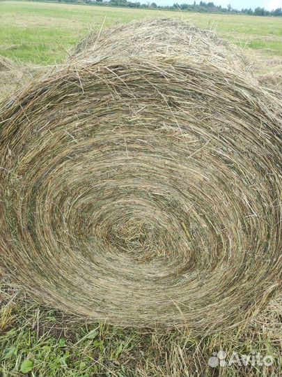 Сено в рулонах