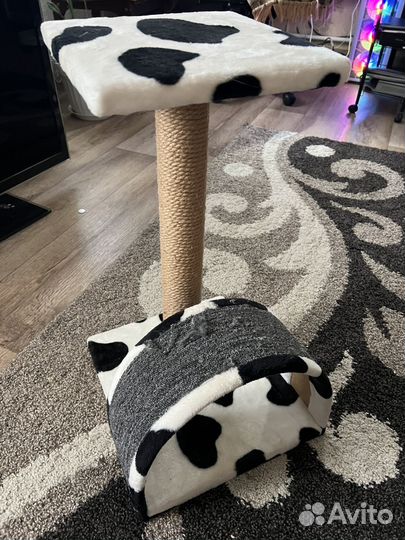 Когтеточка