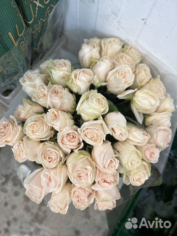 Розы эквадор, букет 51 роза, 101роза пионы