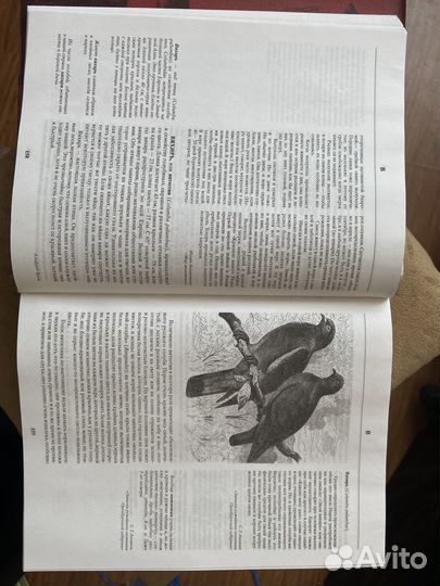 Русская охота Сабанеев А.П. Новая