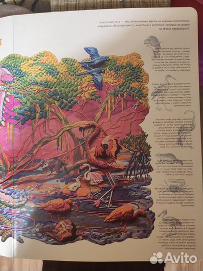 Детская книга