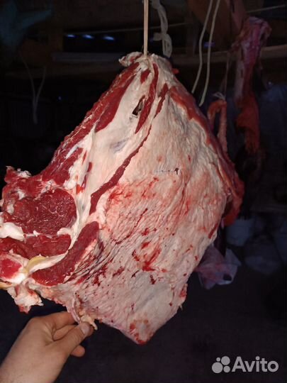 Мясо говядина молодняк домашняя