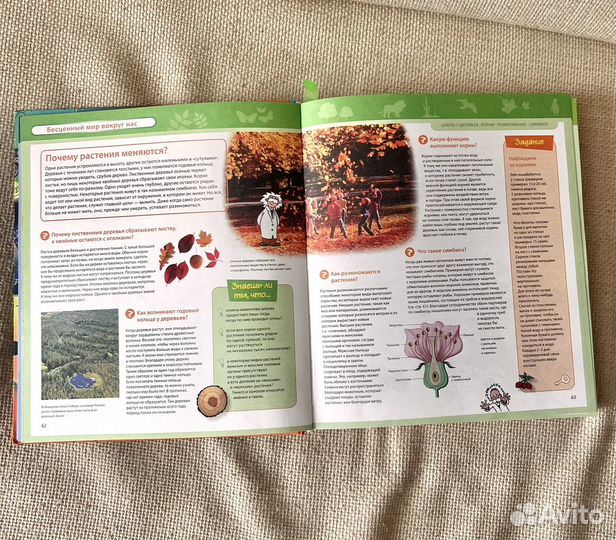 Большая энциклопедия знаний