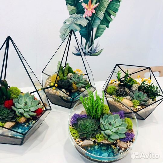 Флорариумы в наличии