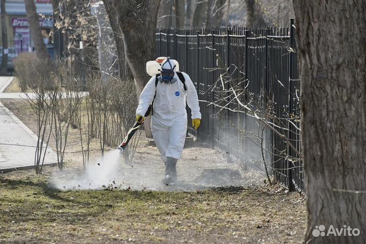 Уничтожение клопов тараканов грызунов блох плесени