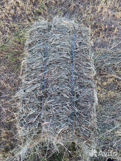 Сено (разнотравье)в тюках с доставкой