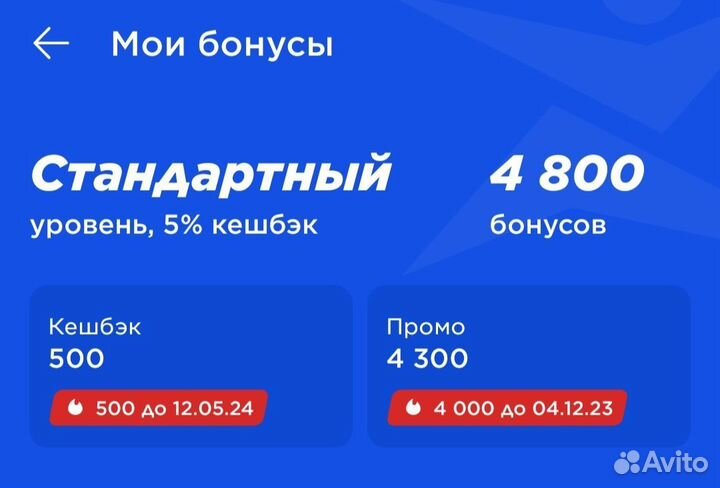 Бонусы спортмастер