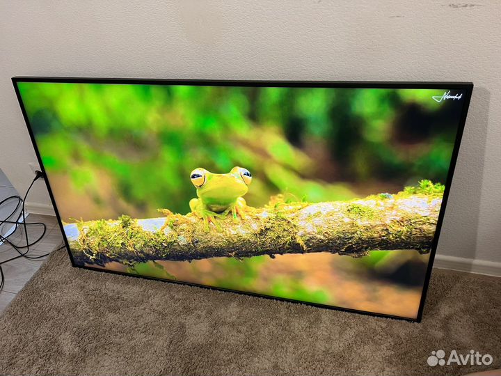 Профессиональная панель Samsung QM55R-B