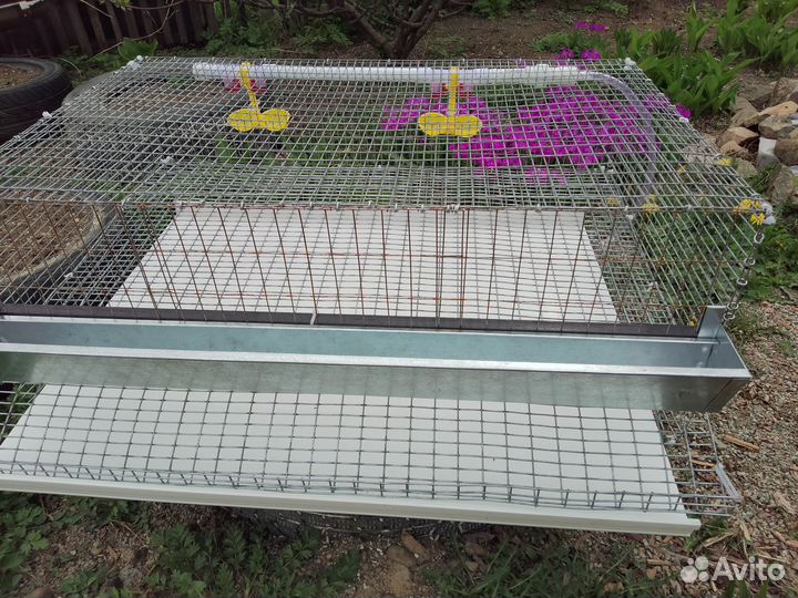 Клетка для перепелов