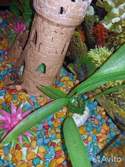 Аквариум 65 литров