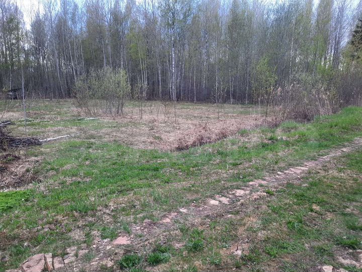 Участок 10 га (СНТ, ДНП)