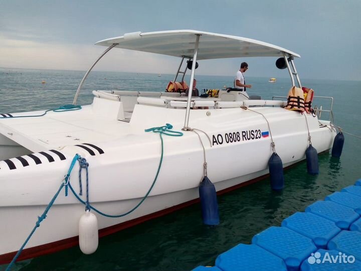 Морская прогулка к дельфинам в Адлере