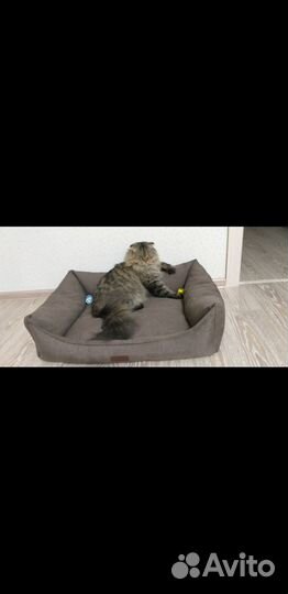 Лежанка для животных