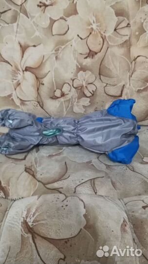 Комбинезон для таксы