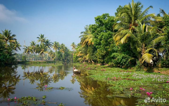 Загрантур в India на 7 дней