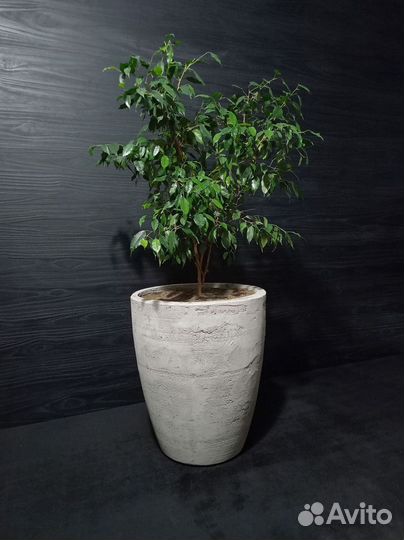 Горшки, Вазоны, Кашпо под заказ из бетона