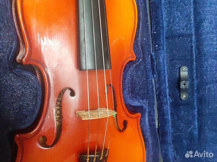 Скрипка 1/2