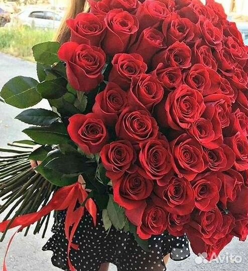 Розы Цветы Букеты 25 51 151 201 101 301 501 опт