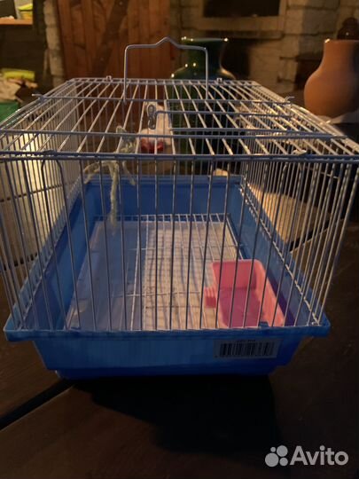 Кетка для хомяка