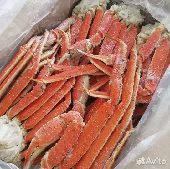 Краб стригун