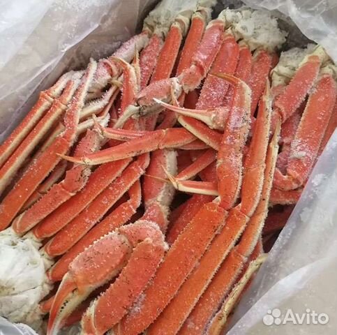 Краб стригун