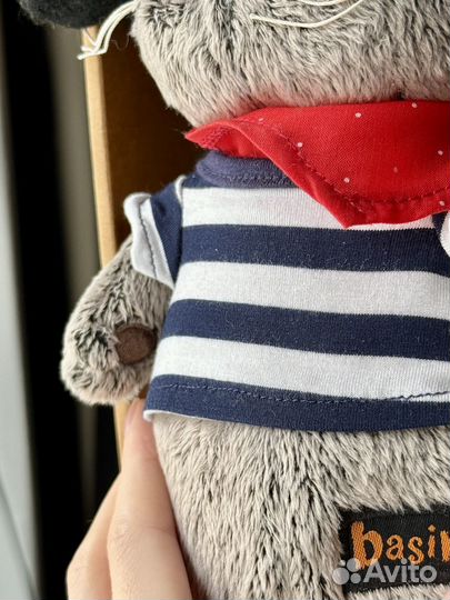 Кот Басик пират