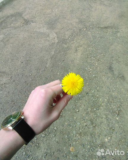 Xbox one s all digital 1tb