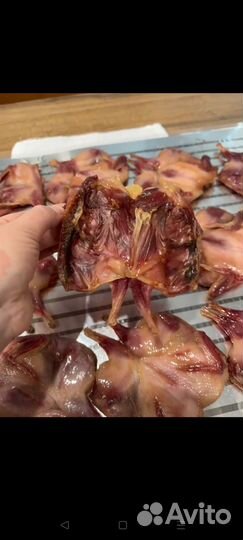 Вяленая перепелка к пенному