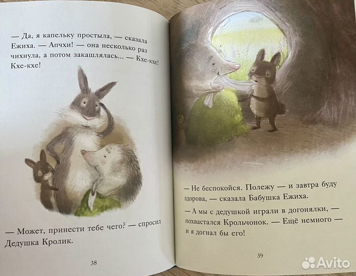 Большой сюрприз для маленького кролика. Книга