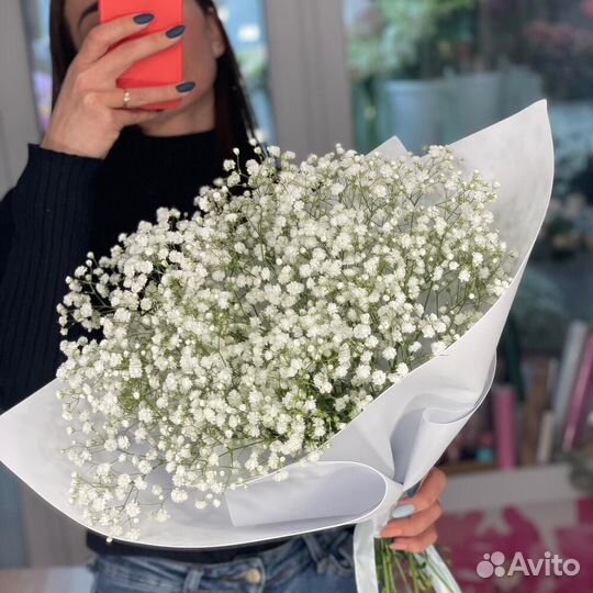 Гипсофилы